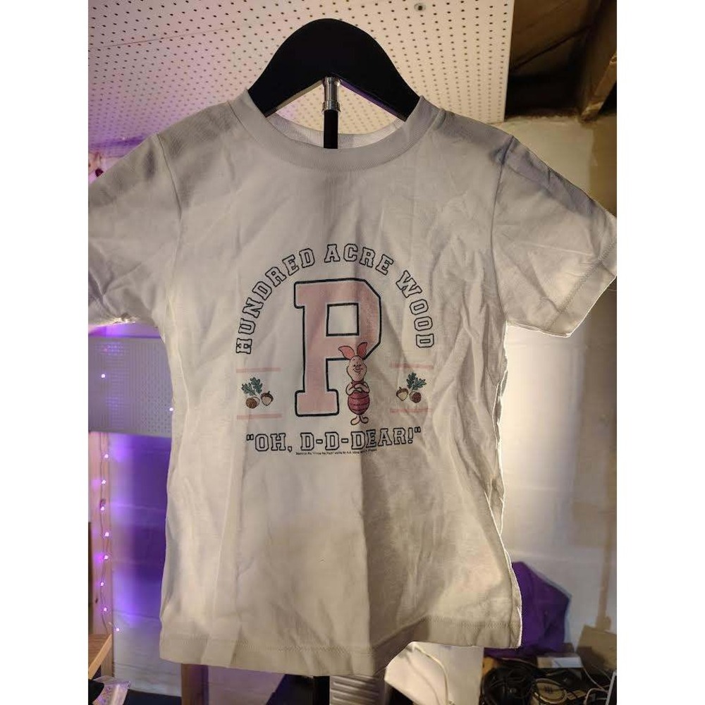 Disney Winnie the Pooh Hundred Acre Wood Piglet TShirt Toddler‎ 4T